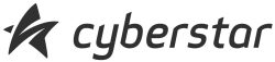 cybertsar payment provider logo